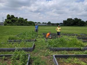 Volunteers came out to help weed, prep, and plant on the LaLumier community garden work day. 