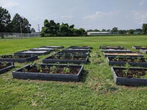 LaLumier Elementary School's community garden beds after volunteers planted them this summer. 