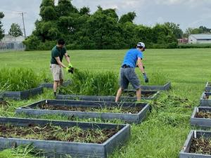 Volunteers came out to help weed, prep, and plant on the LaLumier community garden work day. 