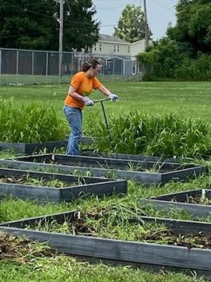 Volunteers came out to help weed, prep, and plant on the LaLumier community garden work day. 