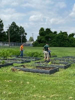 Volunteers came out to help weed, prep, and plant on the LaLumier community garden work day. 