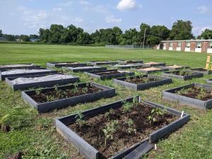 LaLumier Elementary School garden beds after volunteers planted them this summer. 