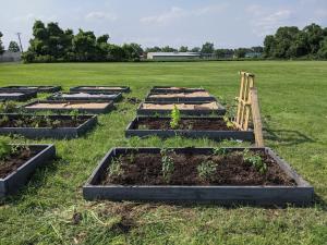 LaLumier Elementary School community garden beds after being prepped and planted for the summer. 